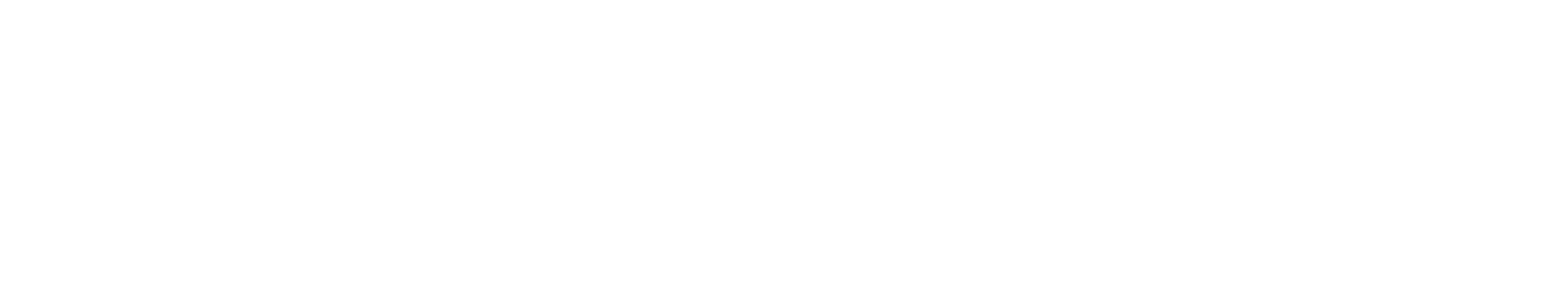 Nitro footer wordmark